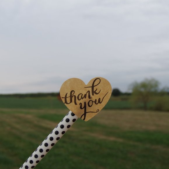 💌 Thank You Stickers (Heart Shaped) - Picture 3 of 5